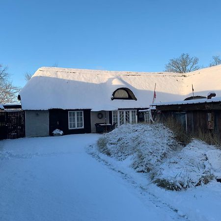 Farm61 Badehotellet I Det Midtjydske - Alder +18 Ar Tjele 외부 사진