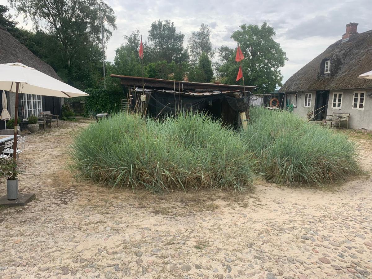 Farm61 Badehotellet I Det Midtjydske - Alder +18 Ar Tjele 외부 사진