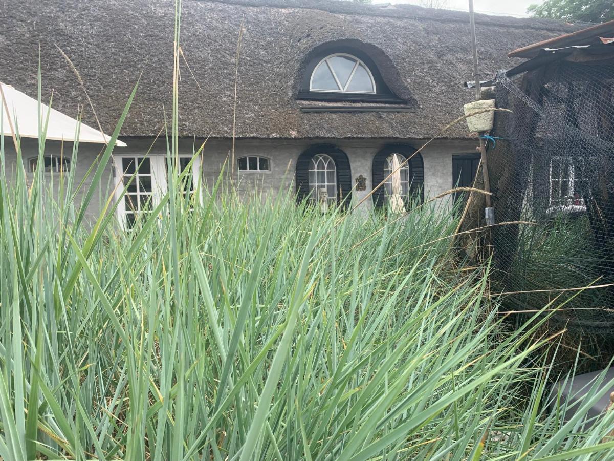 Farm61 Badehotellet I Det Midtjydske - Alder +18 Ar Tjele 외부 사진
